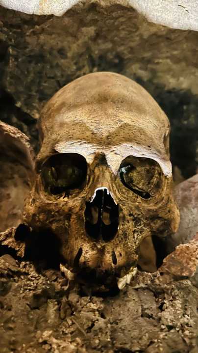 Catacombes de Paris