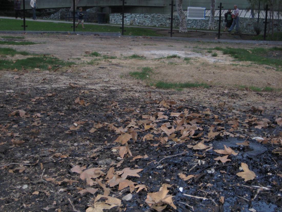 The La Brea Tar Pits