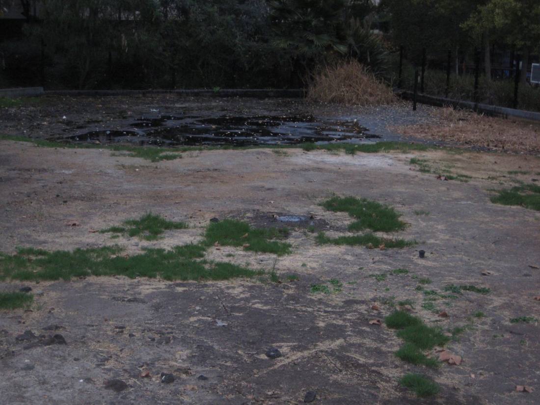 The La Brea Tar Pits