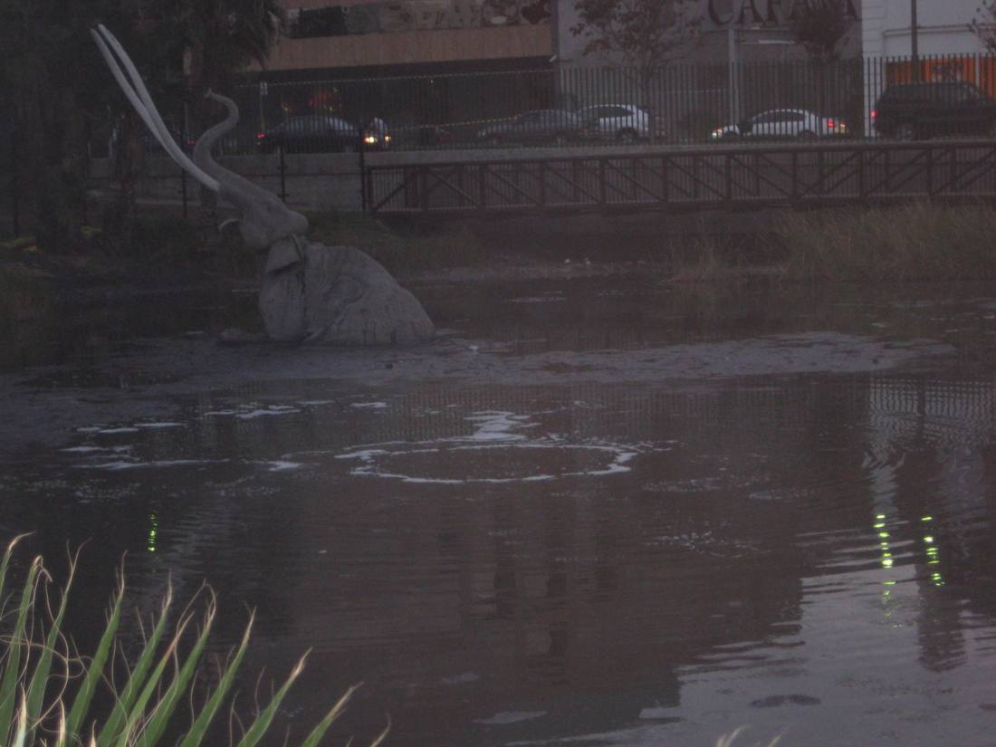 The La Brea Tar Pits