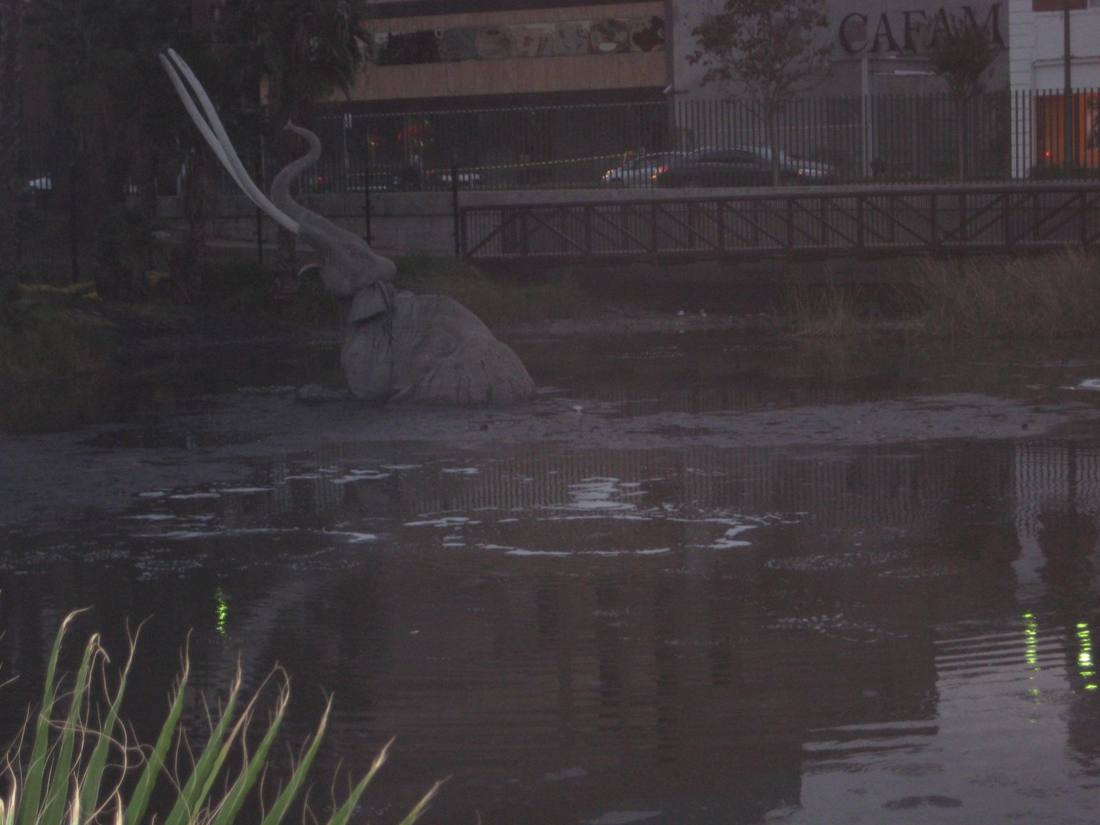 The La Brea Tar Pits