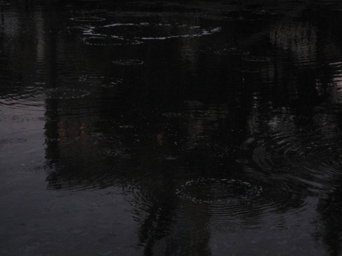 The La Brea Tar Pits