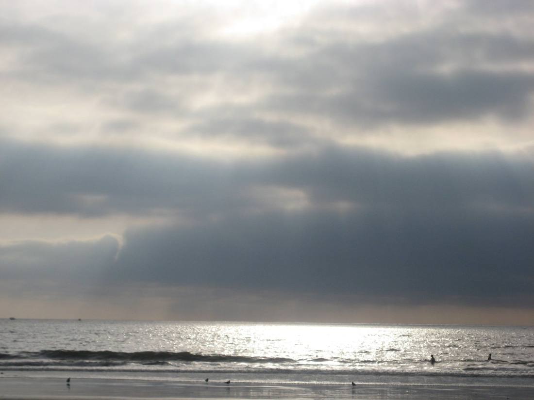 Venice & Santa Monica Beach