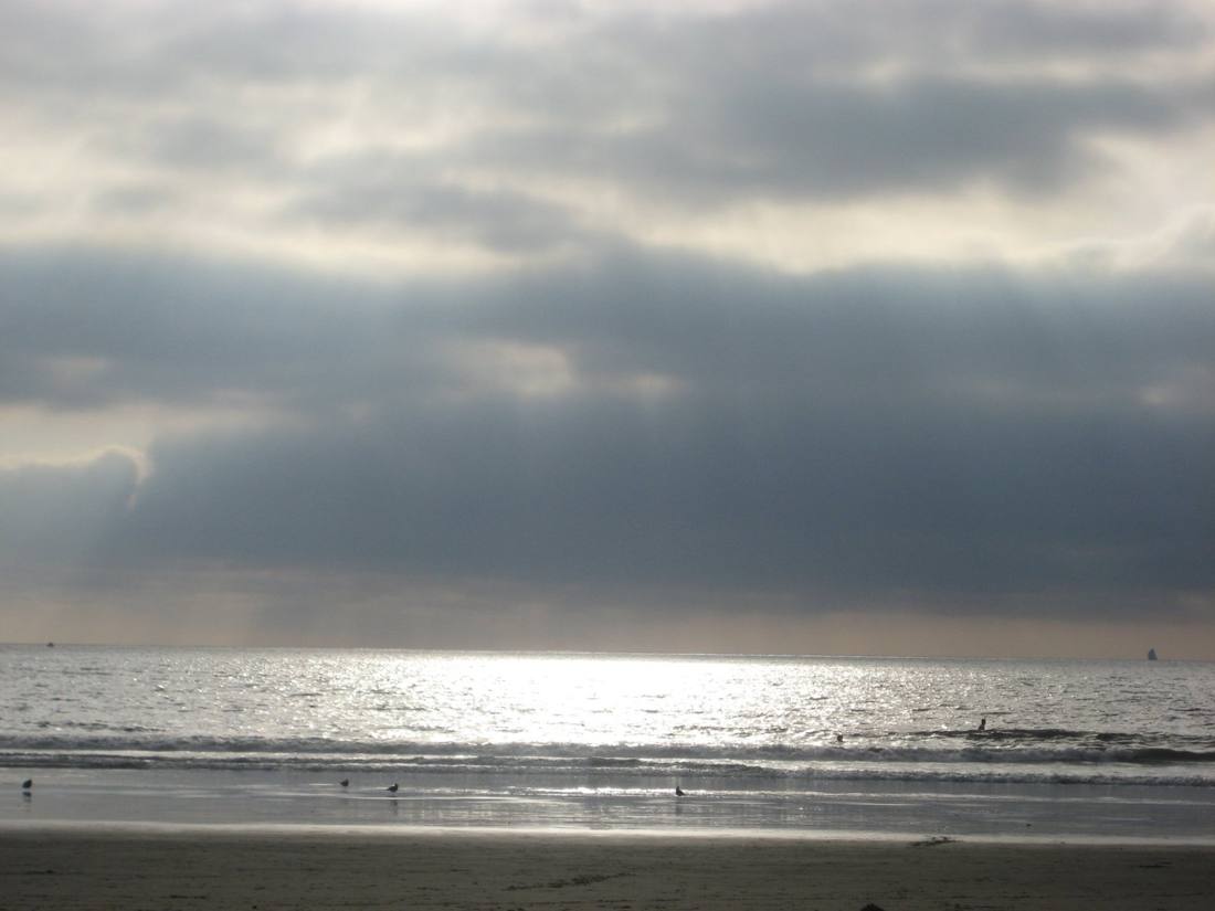 Venice & Santa Monica Beach