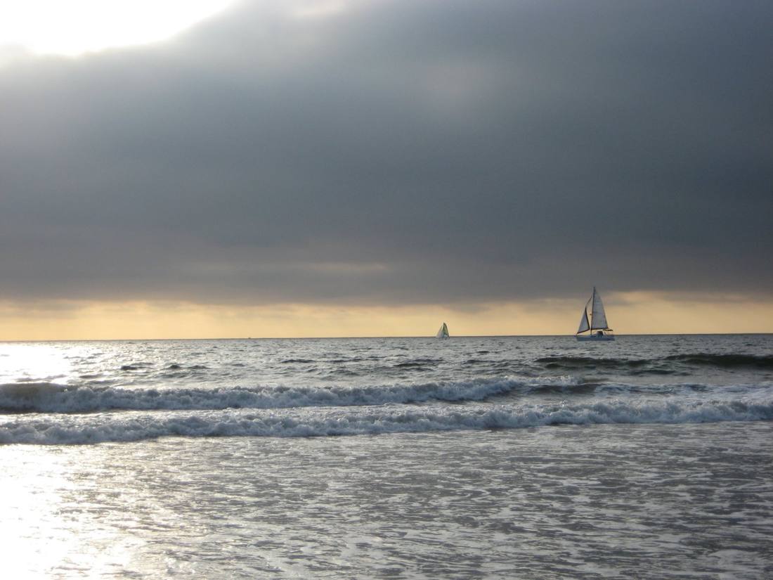 Venice & Santa Monica Beach