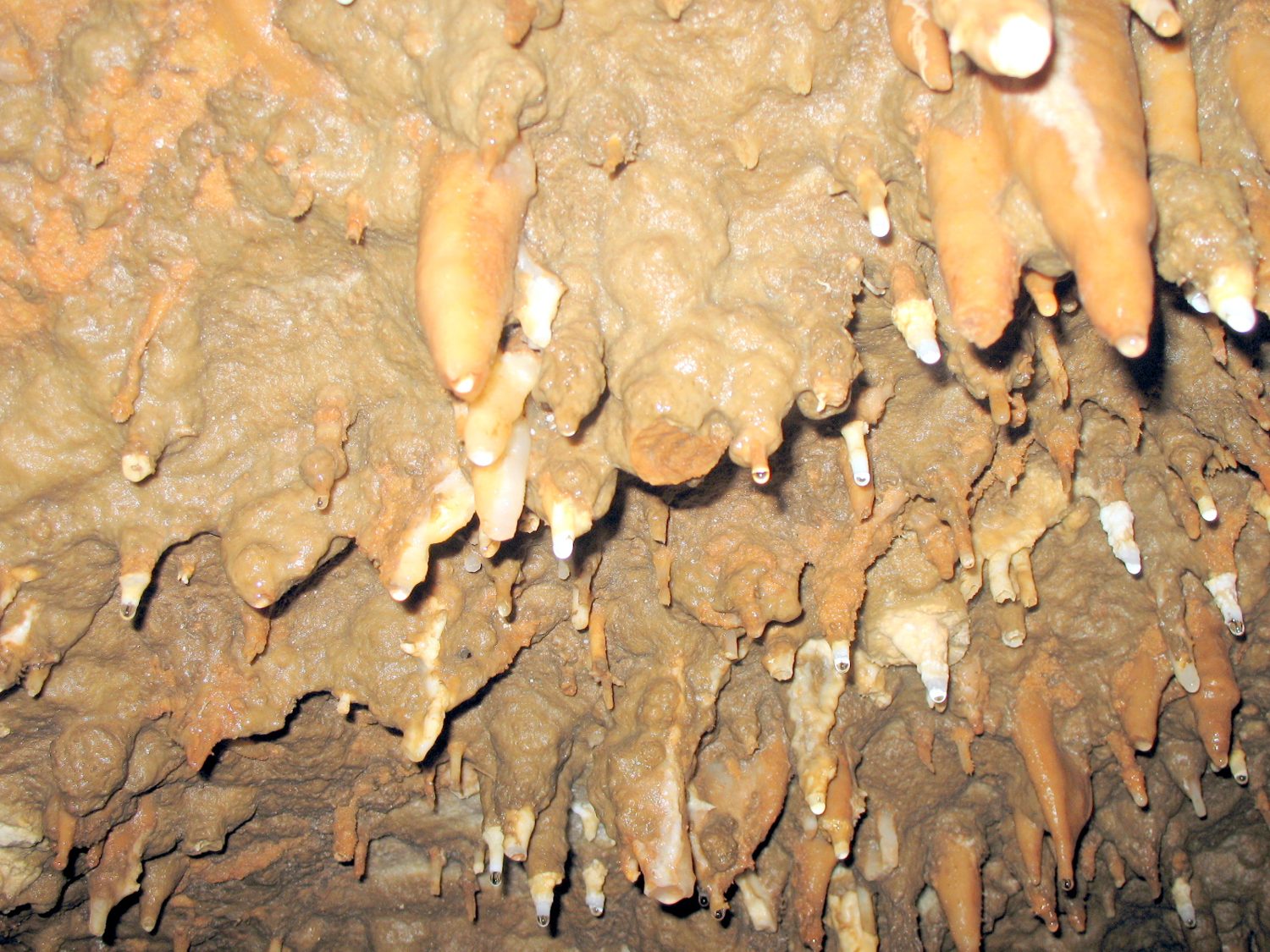 Meramec Caverns 2007
